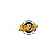 Приборы компании IWT