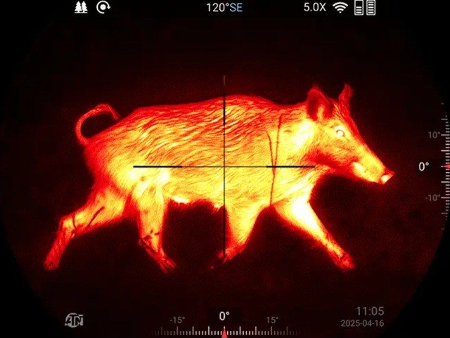 Работа лазерного дальномера и тепловизионной системы во время обнаружения цели ночью