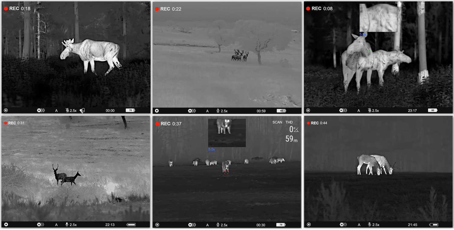 Приклад тепловізійного зображення з високочутливої матриці PULSAR Telos